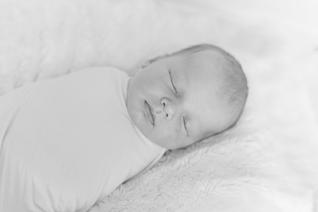 Fox Point At-Home Newborn Photography